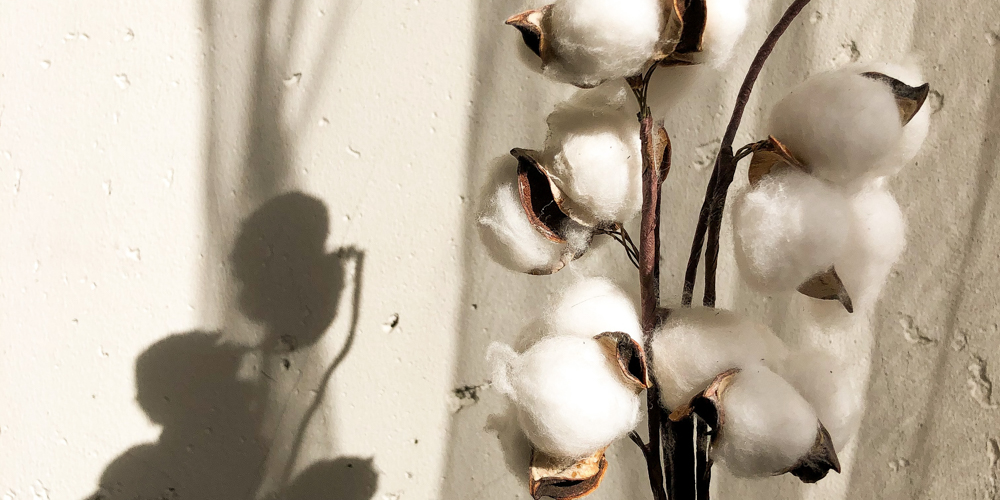 2-Year Anniversary Gifts for Him